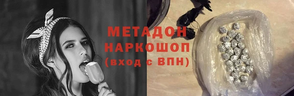 шишки Каменногорск