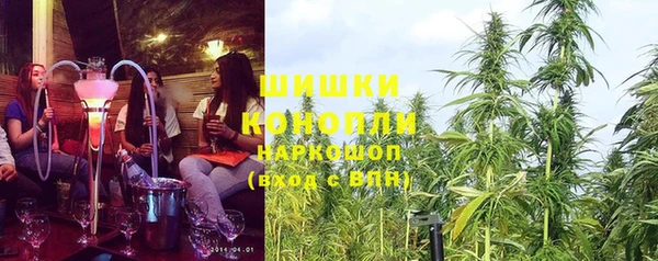 стафф Заводоуковск