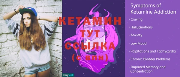 стафф Заводоуковск